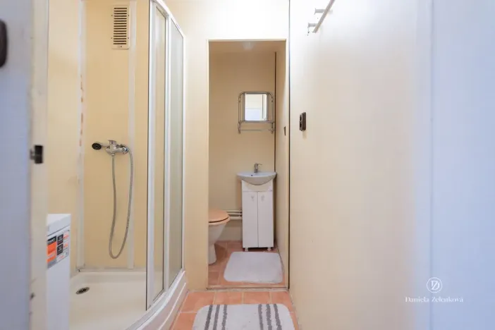 Prodej bytu 1+1, České Budějovice - České Budějovice 3, Plzeňská, 30 m2