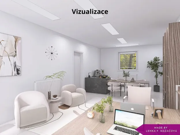 Pronájem obchodního prostoru, Olomouc - Nové Sady, Střední novosadská, 34 m2