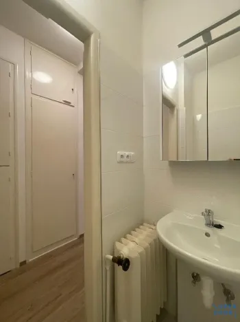 Pronájem bytu 1+kk, Praha - Nové Město, Plavecká, 22 m2