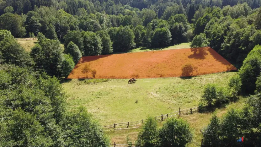 Prodej pozemku pro bydlení, Olešnice v Orlických horách, 3446 m2