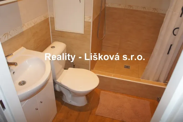 Pronájem bytu 1+1, Ústí nad Labem - Střekov, Tolstého, 36 m2