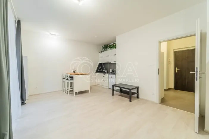 Pronájem bytu 1+kk, Praha - Karlín, U Mlýnského kanálu, 36 m2