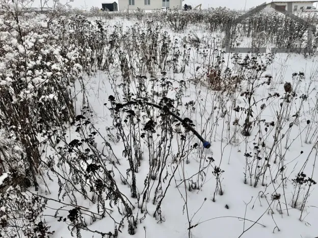 Prodej pozemku pro bydlení, Tachov, Květná, 638 m2