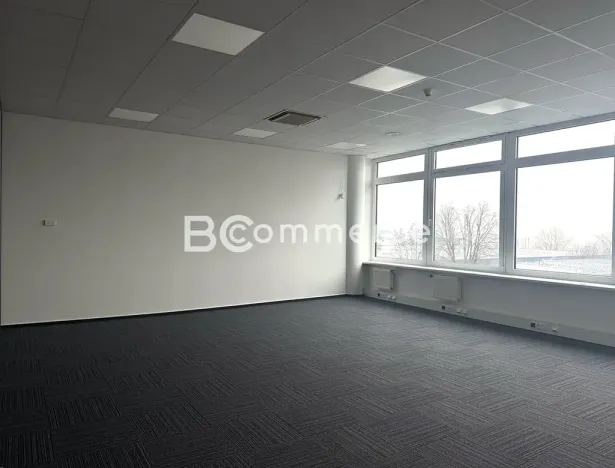 Pronájem skladu, Brno, Vídeňská, 175 m2