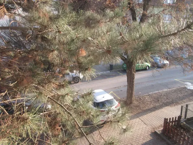 Pronájem bytu 1+1, Brno, Kamenačky, 34 m2