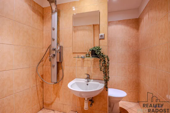 Prodej bytu 1+1, Ostrava - Moravská Ostrava, Šalamounská, 37 m2