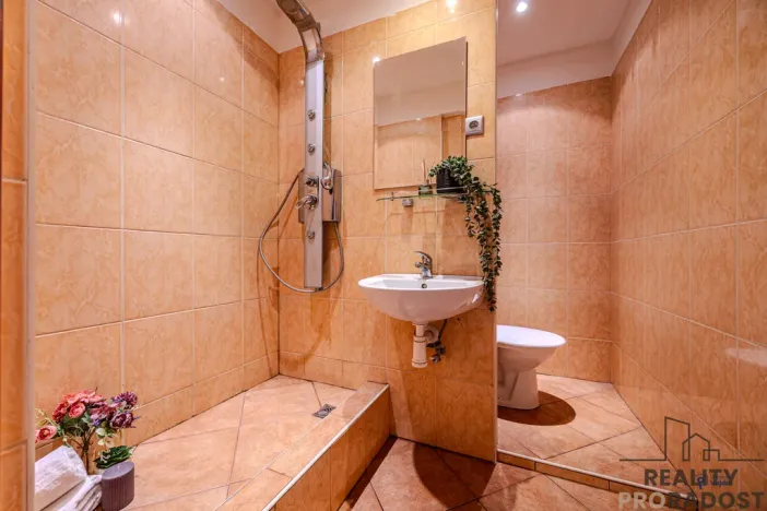 Prodej bytu 1+1, Ostrava - Moravská Ostrava, Šalamounská, 32 m2