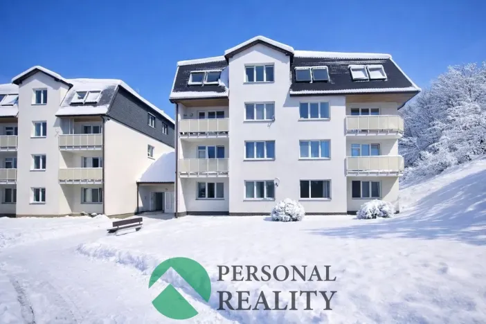 Pronájem bytu 1+1, Planá, Bohušova, 55 m2