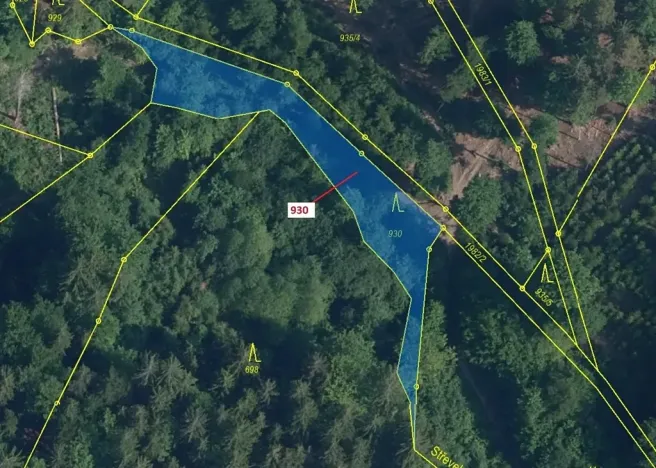 Dražba lesa, Jílové u Držkova, 967 m2