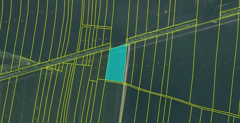 Dražba pole, Chotěšov, 7368 m2