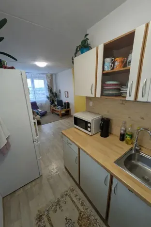 Prodej bytu 2+kk, Most, Josefa Ševčíka, 40 m2