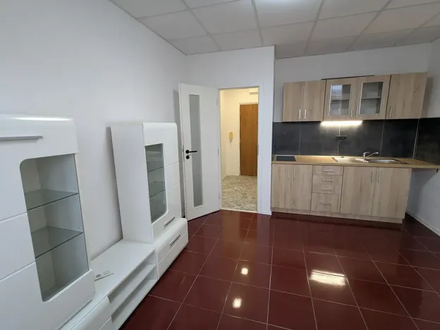 Pronájem bytu 1+kk, Litvínov, Mostecká, 22 m2
