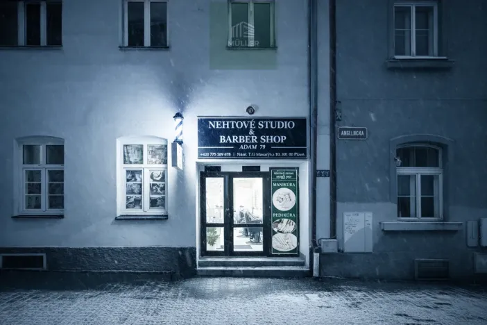 Pronájem - jiné, Plzeň, náměstí T. G. Masaryka, 40 m2