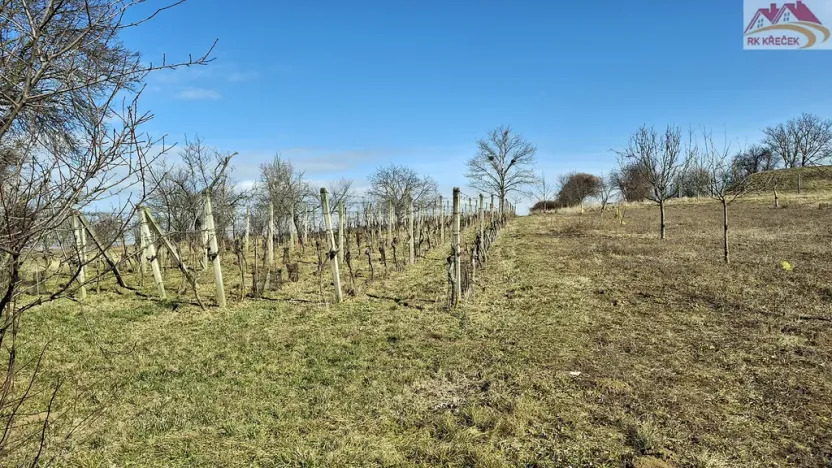 Prodej rodinného domu, Boršice, 280 m2