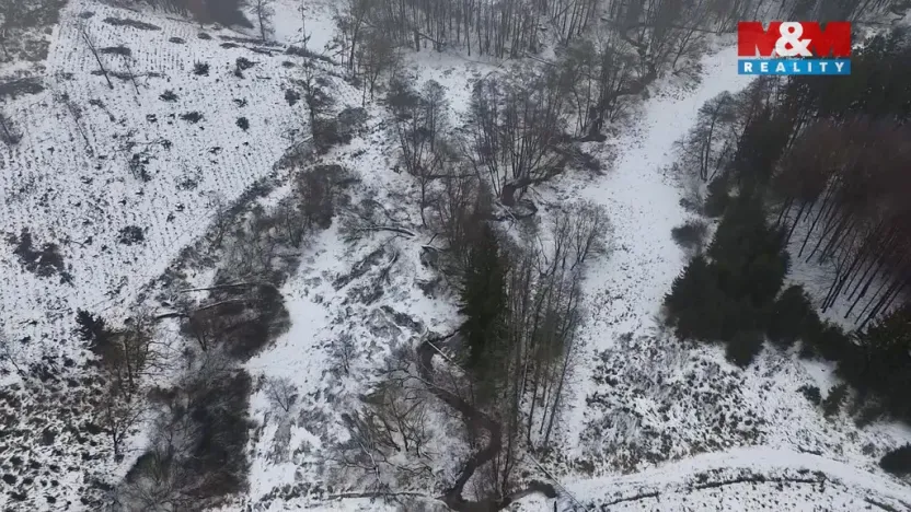 Prodej rybníku, Dolní Hořice - Pořín, 8552 m2