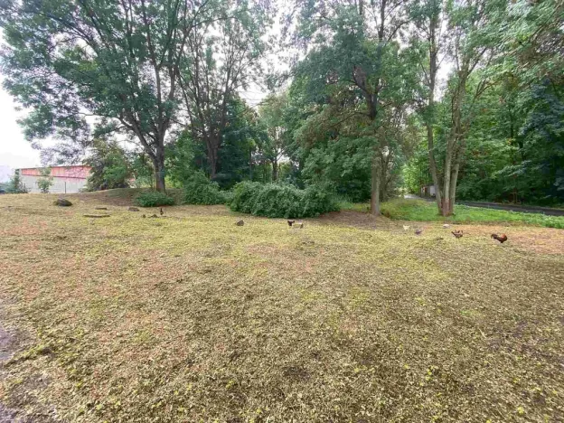 Prodej pozemku, Březová, 1993 m2