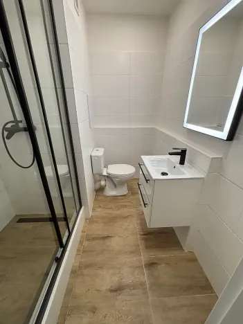 Pronájem bytu 2+1, Paskov, Papírenská, 45 m2