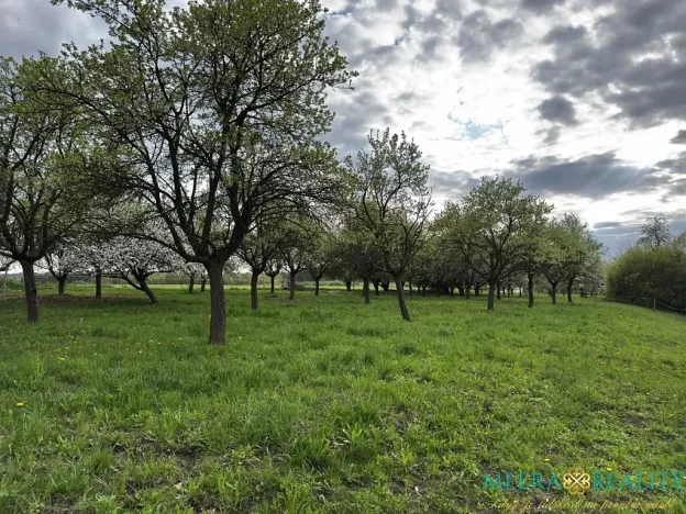 Prodej pozemku pro bydlení, Bílé Poličany, 2980 m2