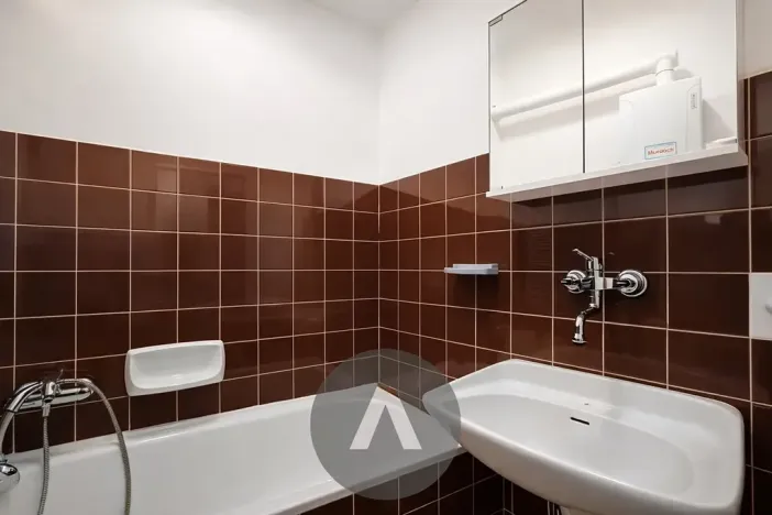 Pronájem bytu 2+1, Brno, Botanická, 86 m2