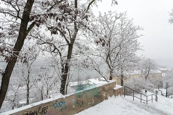 Prodej bytu 3+kk, Praha - Vyšehrad, Neklanova, 67 m2