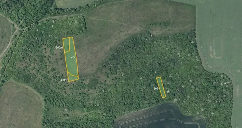 Prodej pole, Děčany, 78982 m2