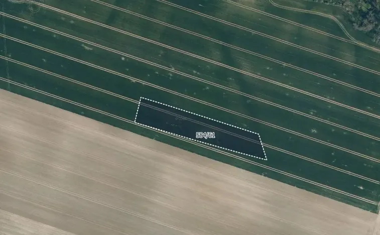 Prodej pole, Mělnické Vtelno, 5954 m2