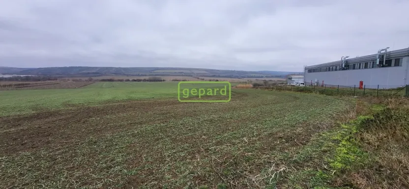 Prodej pozemku, Starovice, 5036 m2