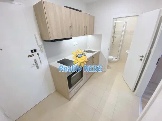 Pronájem bytu 1+kk, Praha - Žižkov, Baranova, 30 m2