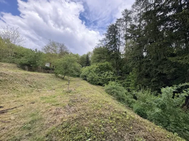 Prodej rodinného domu, Úžice - Radvanice, 200 m2