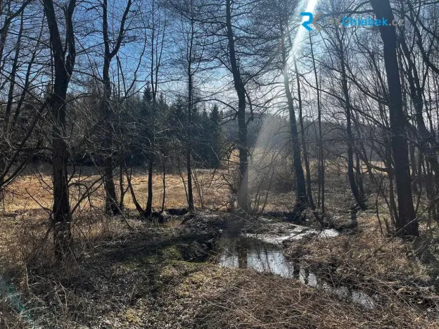 Prodej pozemku pro bydlení, Budišov nad Budišovkou - Guntramovice, 556 m2