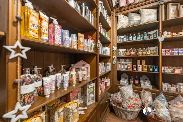 Prodej ubytování, Lázně Bělohrad, Lázeňská, 529 m2