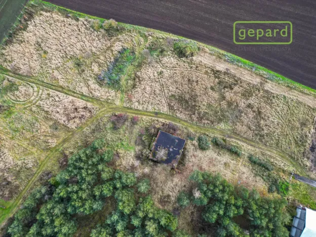 Pronájem komerčního pozemku, Větrušice, Severní, 8000 m2