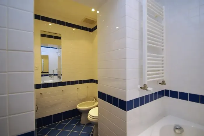 Pronájem bytu 2+1, Praha - Vinohrady, Anny Letenské, 54 m2