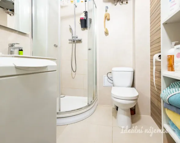 Pronájem bytu 2+kk, Praha - Karlín, Březinova, 50 m2