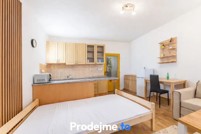 Pronájem bytu 1+kk, Dobšice, V Zahradách, 29 m2