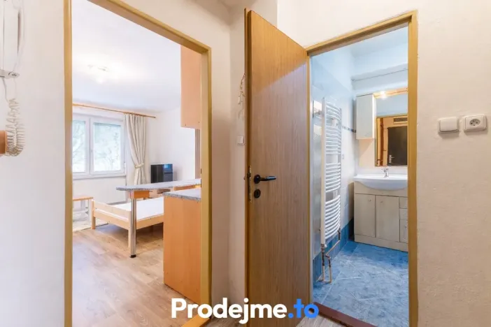 Pronájem bytu 1+kk, Dobšice, V Zahradách, 29 m2