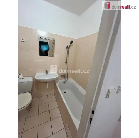 Pronájem bytu 2+1, Cheb, Hálkova, 52 m2