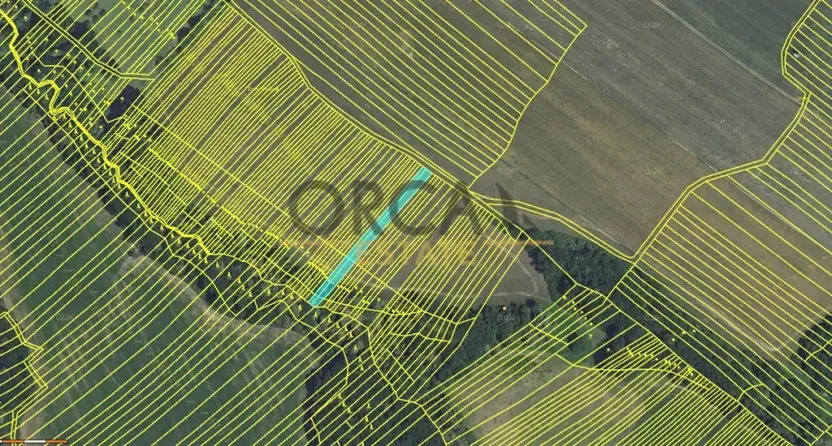 Prodej pole, Mistřice, 3576 m2