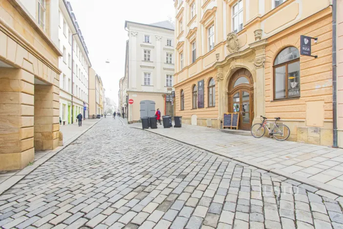 Pronájem bytu 3+kk, Olomouc, Michalská, 142 m2