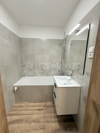 Pronájem bytu 4+1, Liberec, Dobiášova, 104 m2