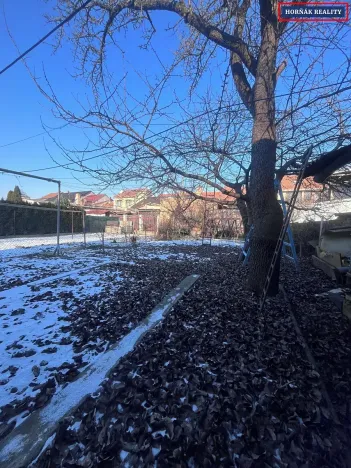 Prodej rodinného domu, Bučovice, Zámecká, 180 m2