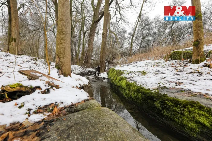 Prodej rodinného domu, Měčín - Petrovice, 138 m2