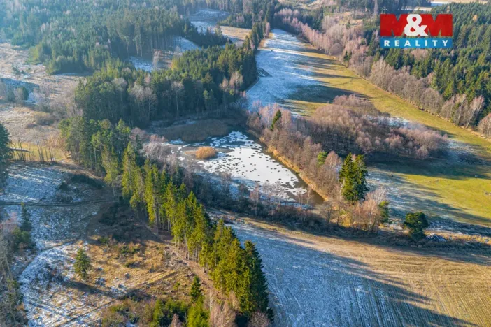 Prodej rybníku, Horní Ves, 21990 m2