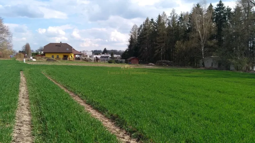 Prodej pozemku pro bydlení, Libuň, 4494 m2