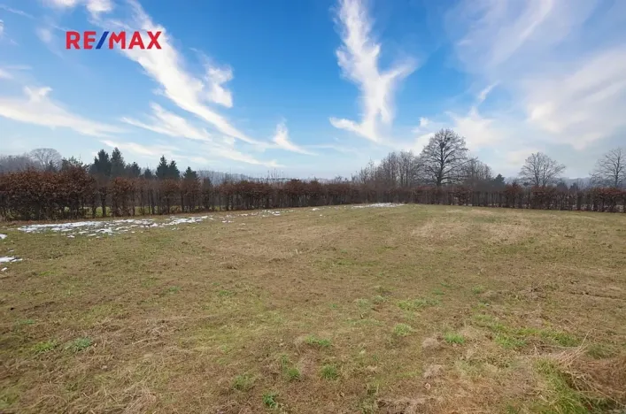 Prodej pozemku pro bydlení, Rychvald, Vléčná, 806 m2