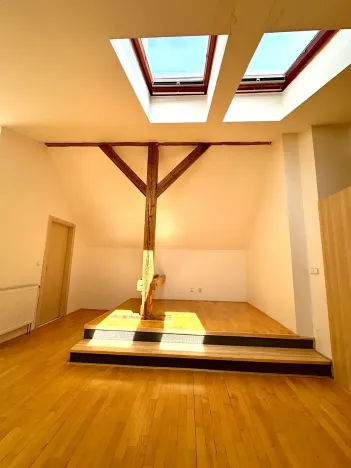 Pronájem bytu 2+kk, Praha - Vinohrady, Polská, 122 m2