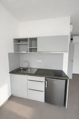 Pronájem bytu 1+kk, Brno, Branka, 28 m2