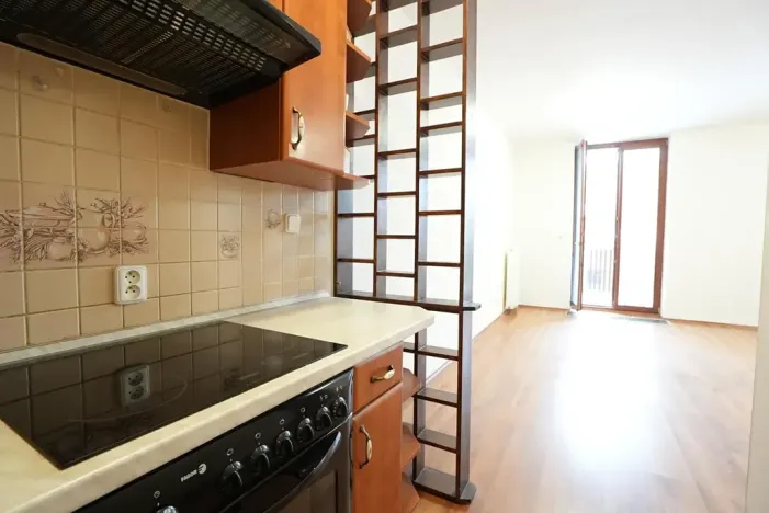 Pronájem bytu 1+kk, Beroun, U Židovského hřbitova, 41 m2