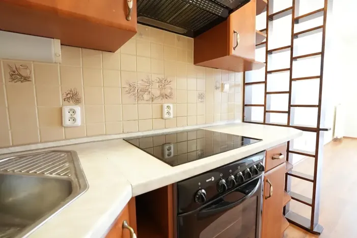 Pronájem bytu 1+kk, Beroun, U Židovského hřbitova, 41 m2