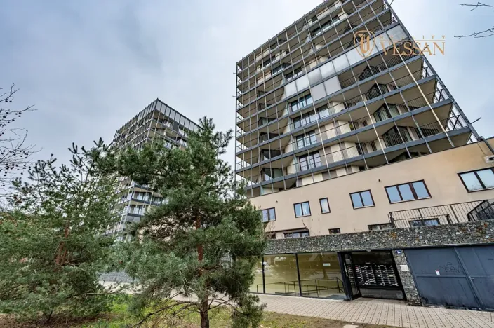 Prodej bytu 2+kk, Praha - Žižkov, Malešická, 82 m2